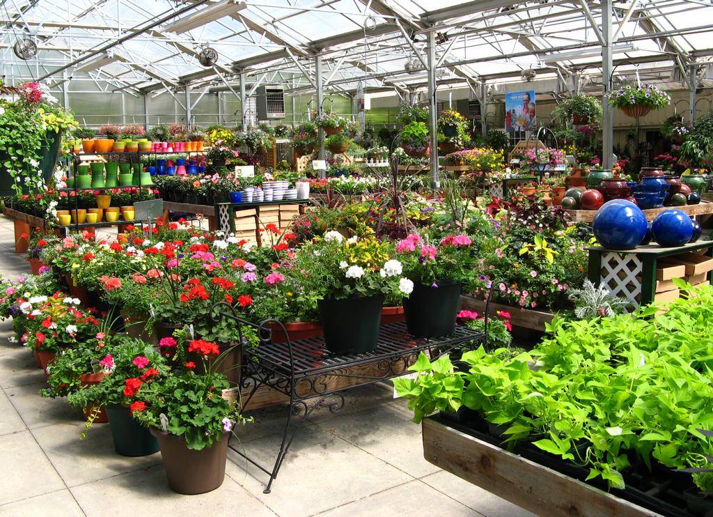 Homewood Nursery & Garden Center Raleigh NC 27614 9198470117